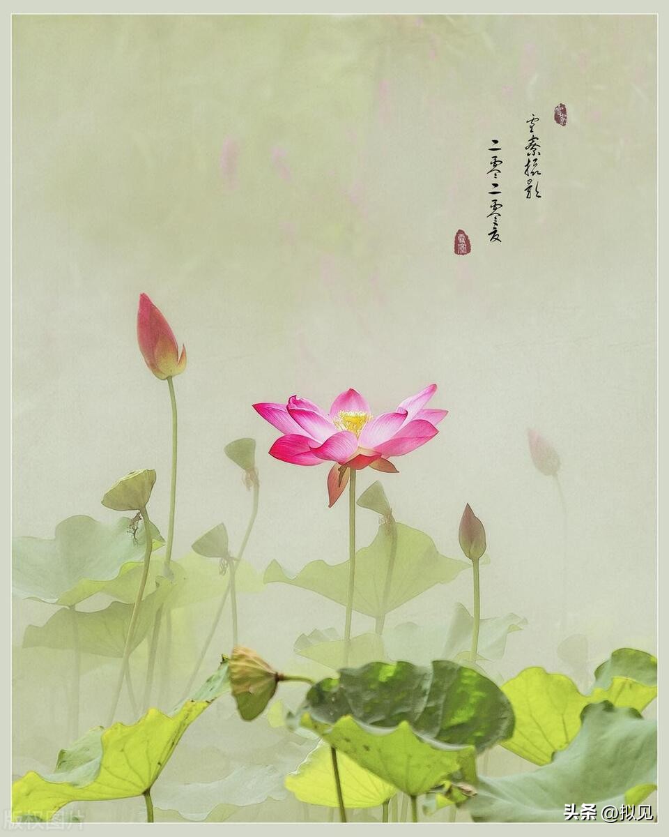 学习的正能量句子28句，让你动力满满