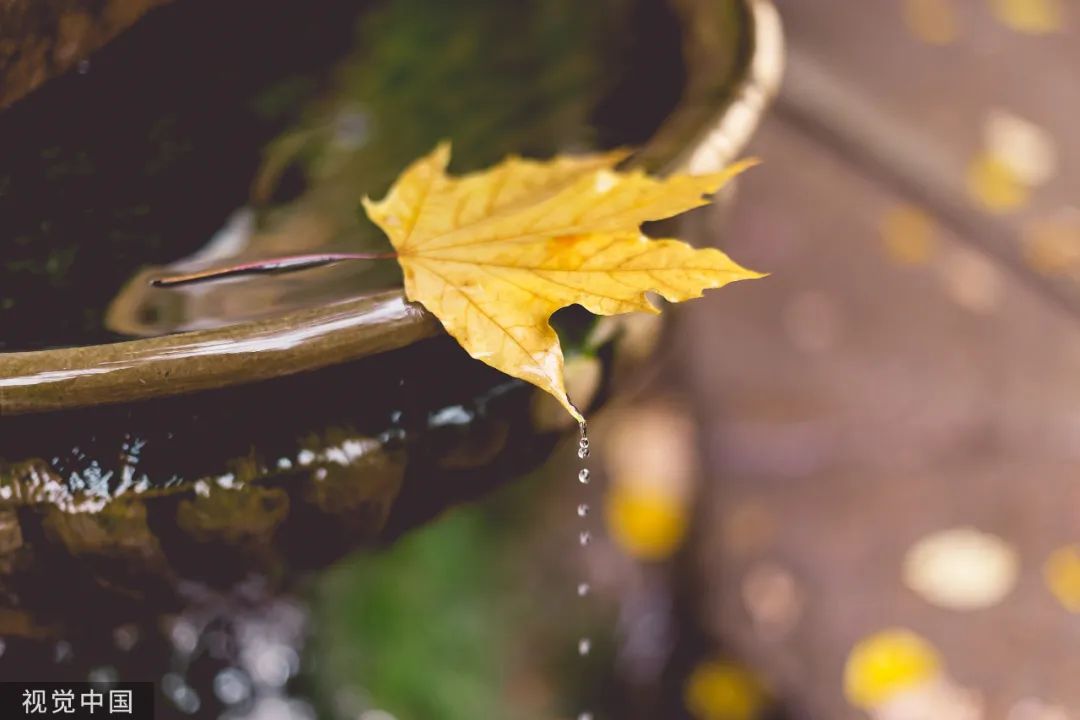 关于秋雨的诗句唯美47句，美到心醉