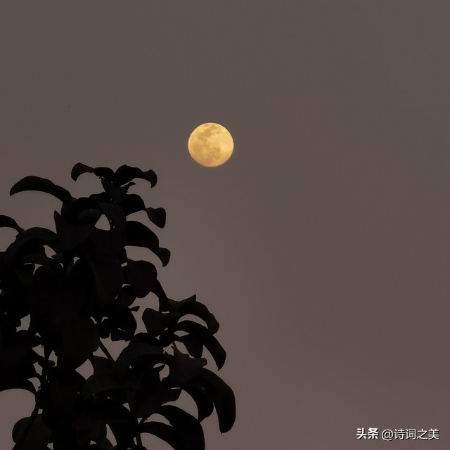 关于思乡的古诗8首，读完令人潸然泪下