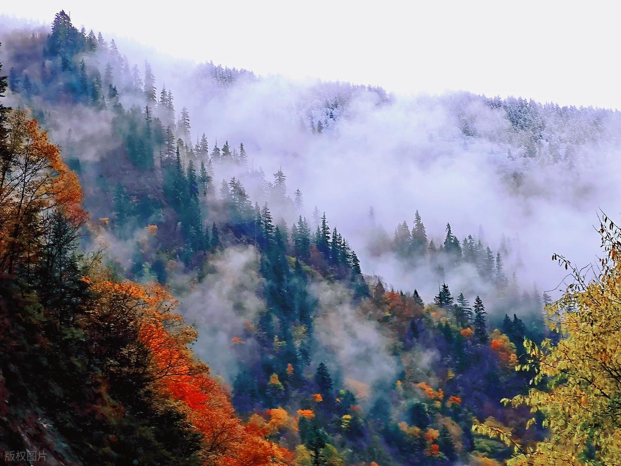 写山的诗句10句，青山如黛，群峰似剑