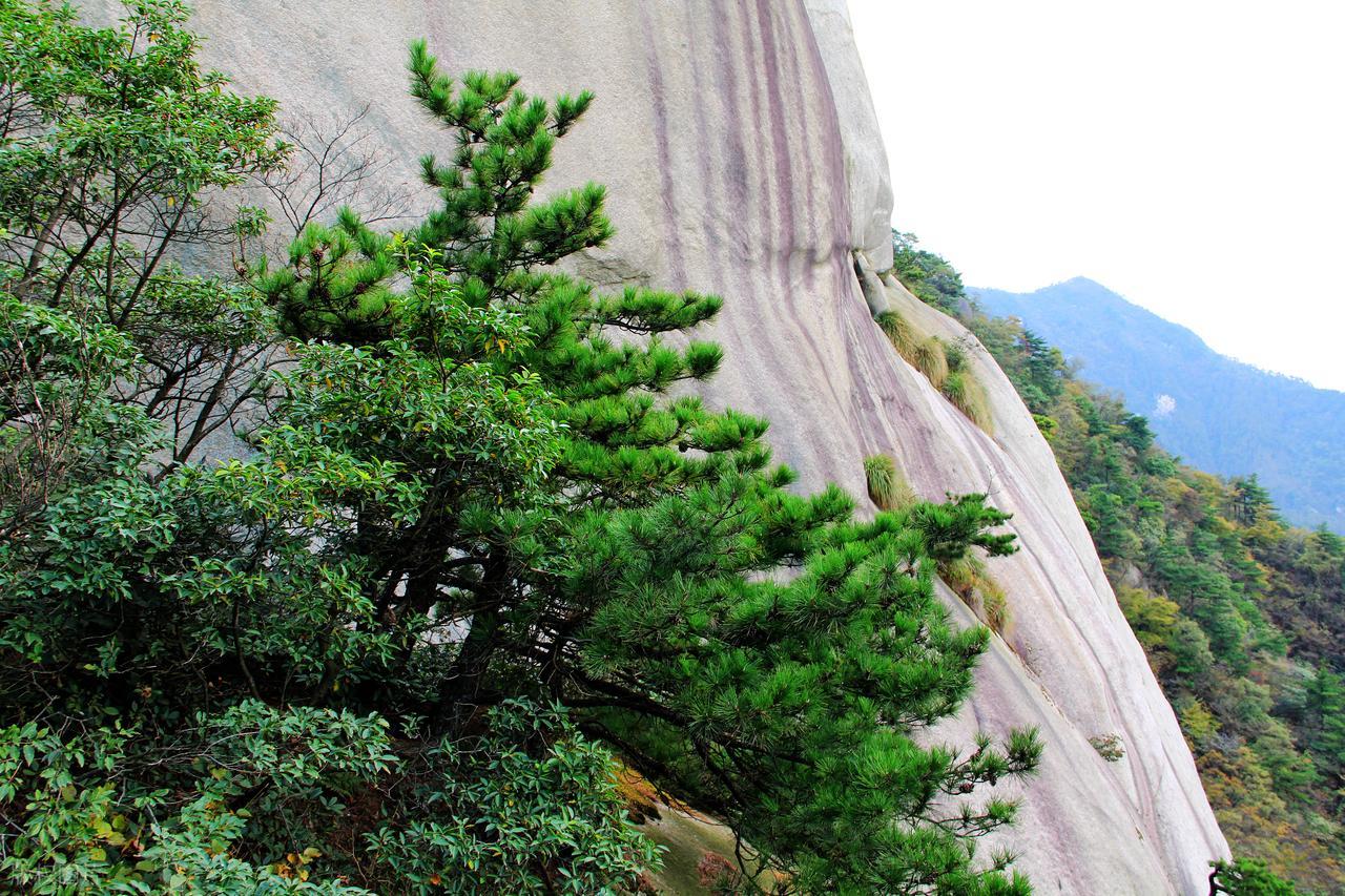 写山的诗句10句，青山如黛，群峰似剑