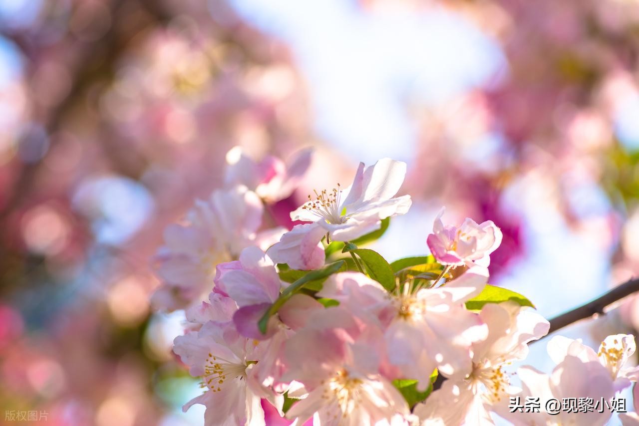 充满希望的句子29句，今天比昨天好，这就是希望