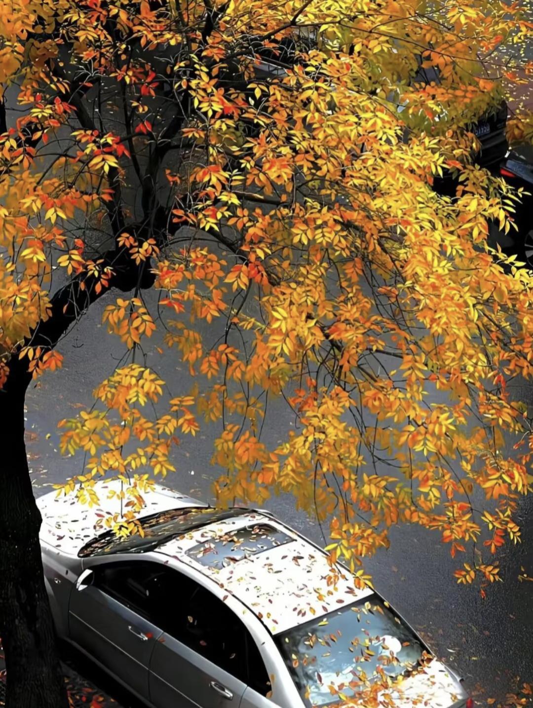 冬天暖心经典话语18句，温暖了整个冬天