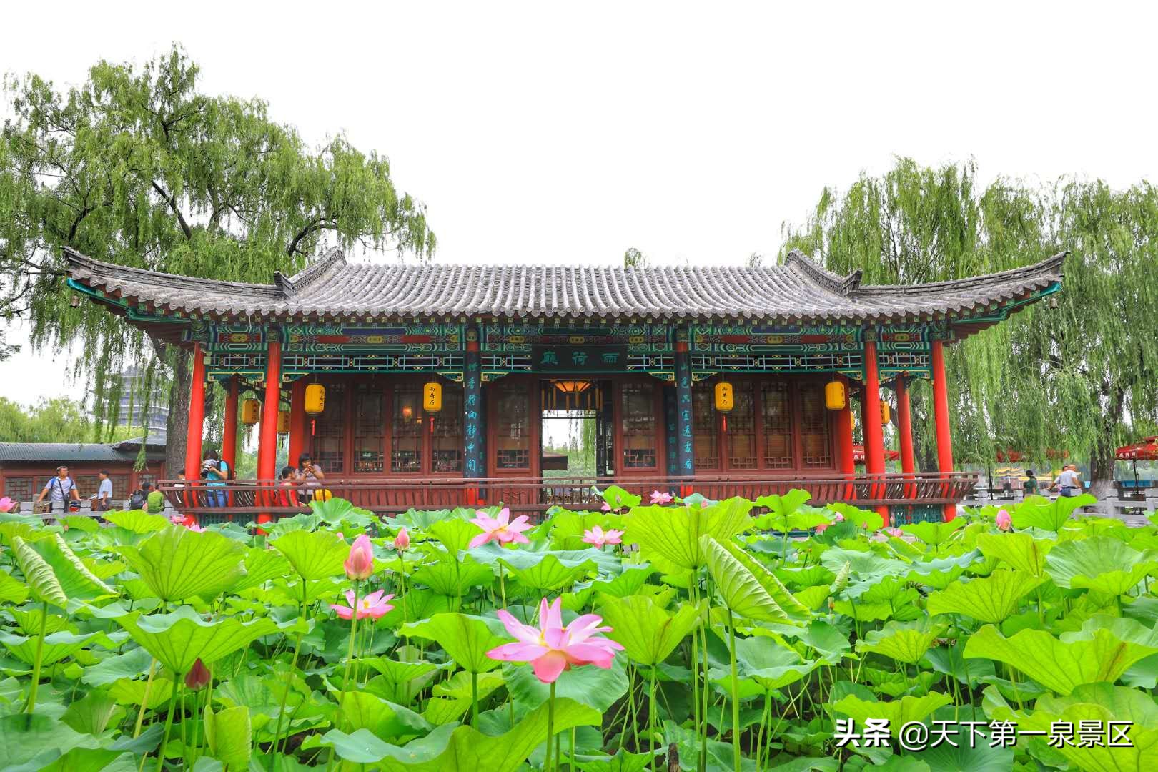 与荷花有关的诗句6首，诗有音韵，让人陶醉