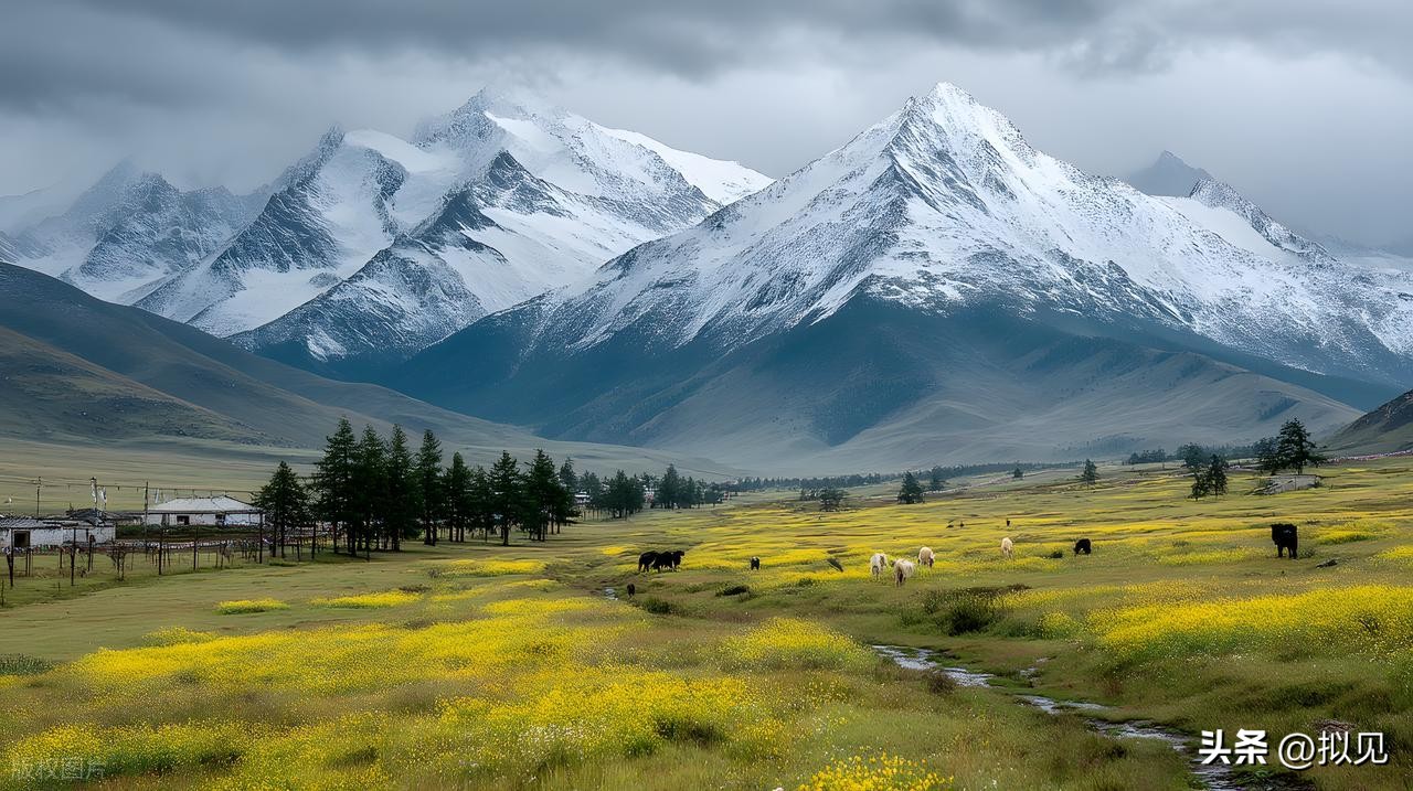 描写生活情趣的诗句12首，写尽凡尘人生