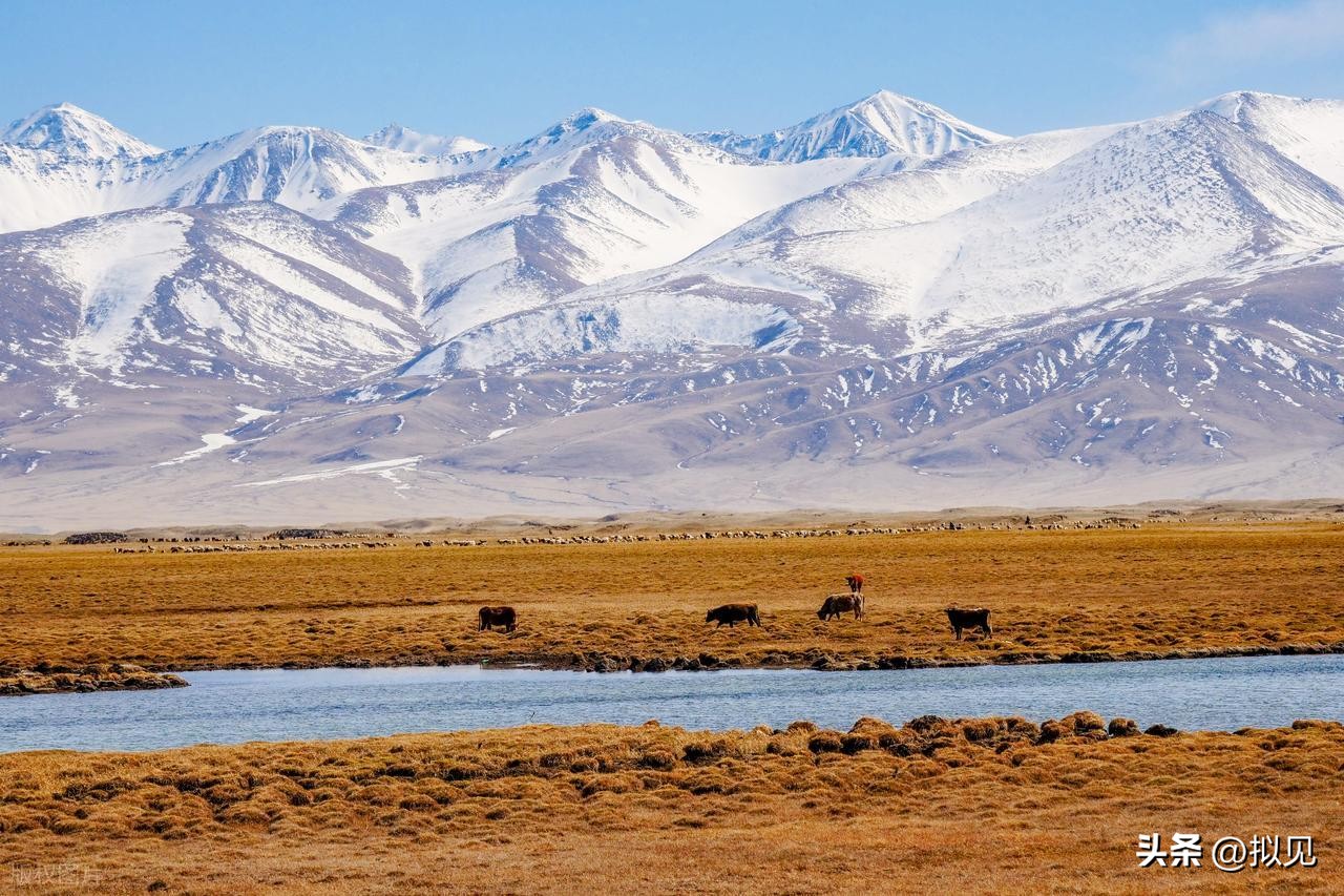 描写生活情趣的诗句12首，写尽凡尘人生