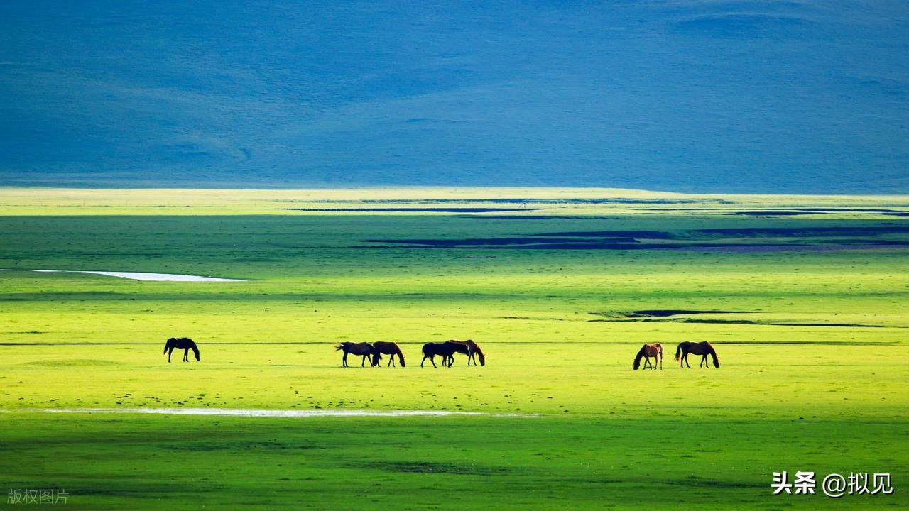 描写生活情趣的诗句12首，写尽凡尘人生