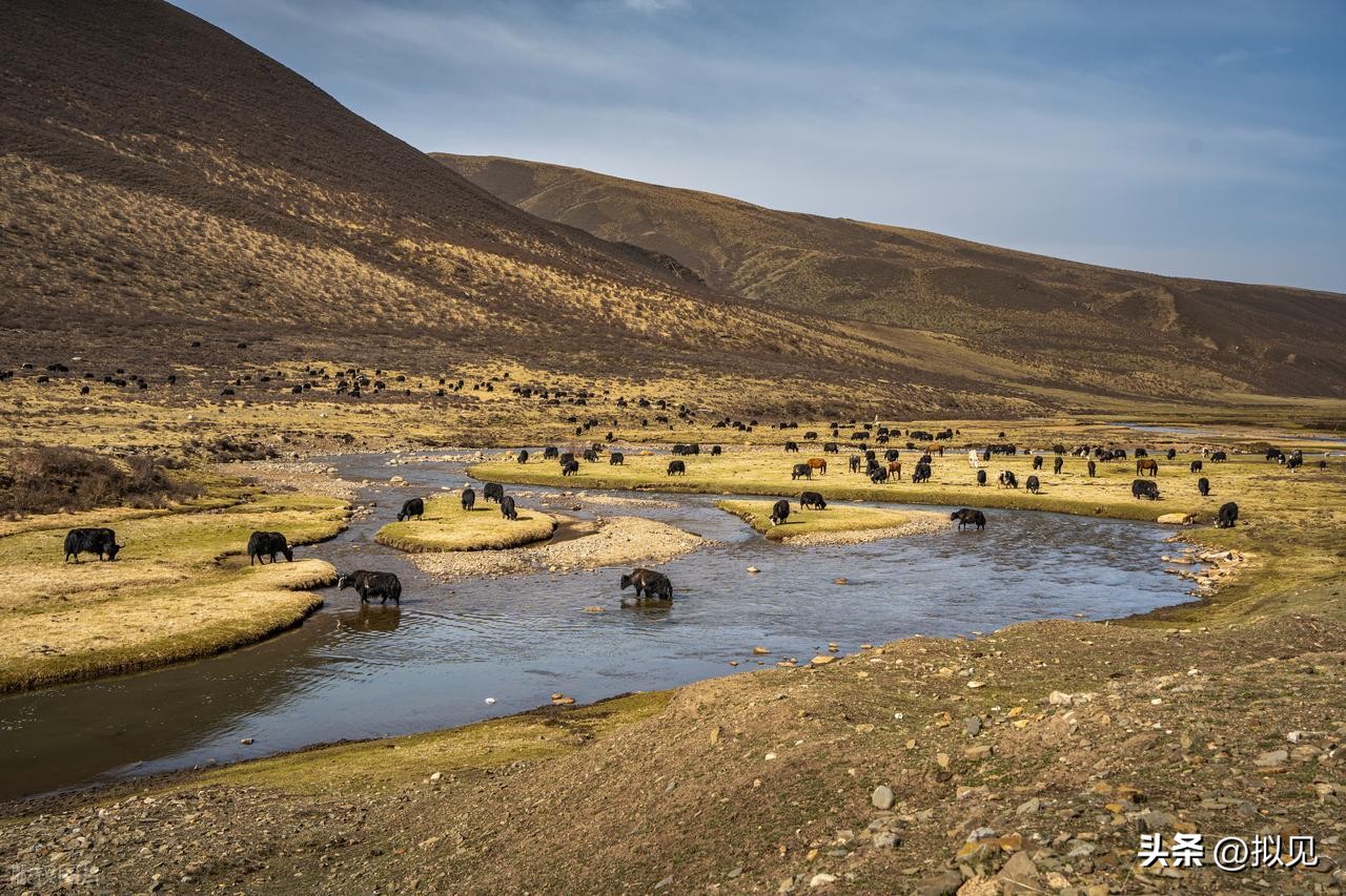 描写生活情趣的诗句12首，写尽凡尘人生