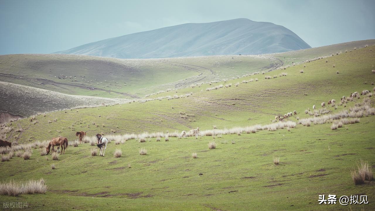 描写生活情趣的诗句12首，写尽凡尘人生
