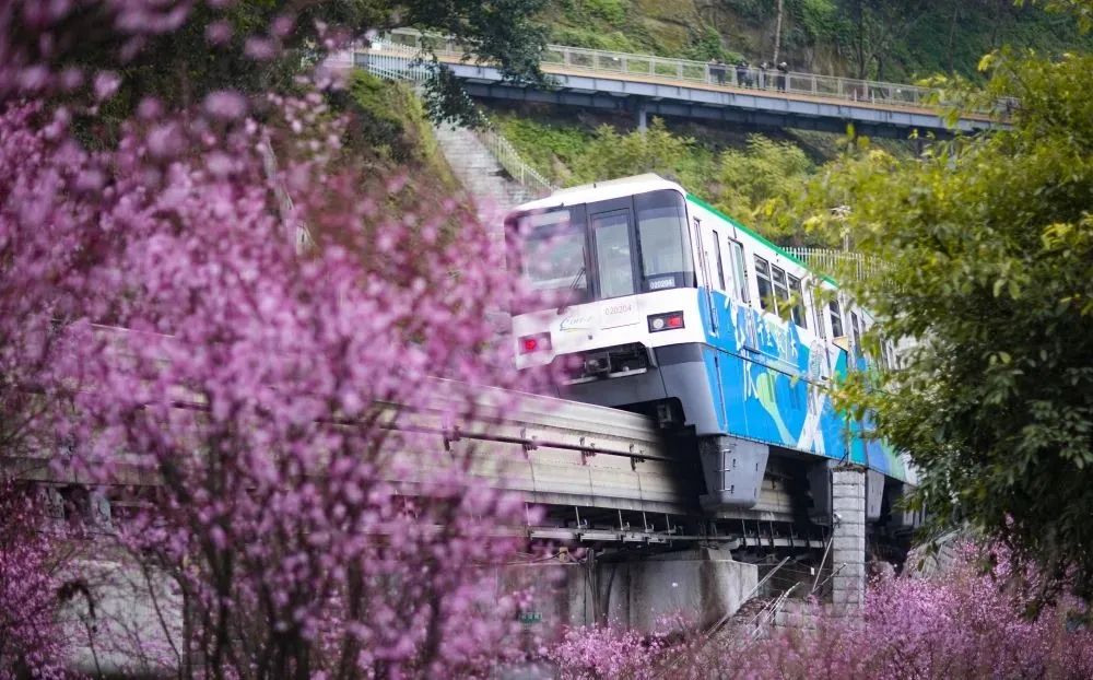 春的诗句30首，感受春之勃勃生机