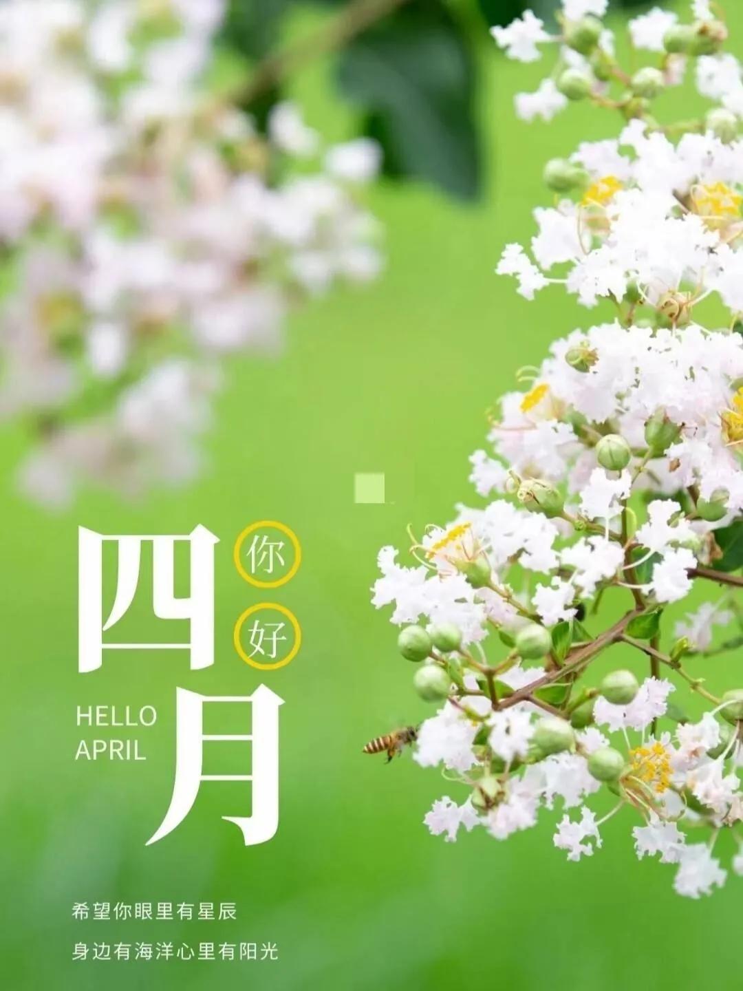 四月你好的唯美句子12句，带你感受温暖和希冀