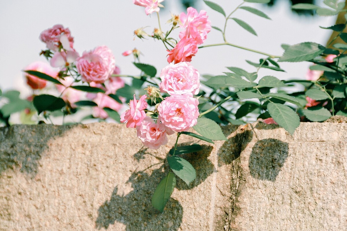 立夏的诗句25首，诗情画意过立夏