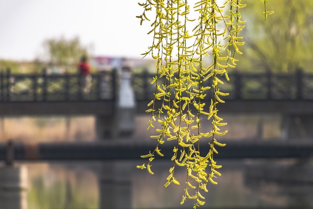 送别古诗40首，领略古人离别时的千般况味