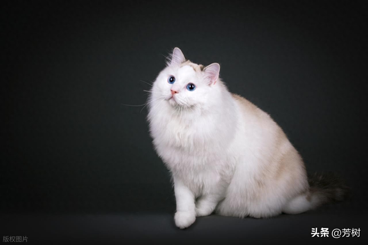 让对方看到心疼的句子30句，句句穿透人心