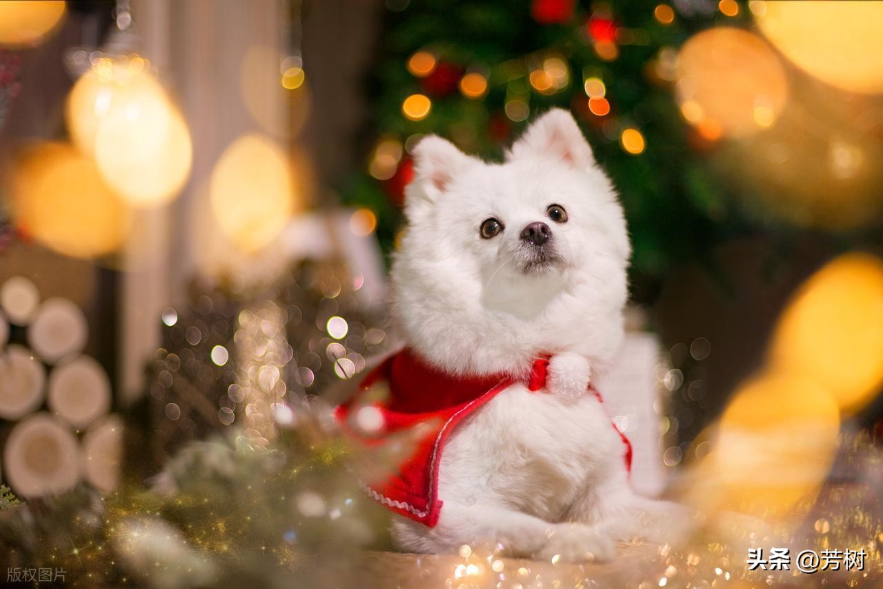 让对方看到心疼的句子30句，句句穿透人心