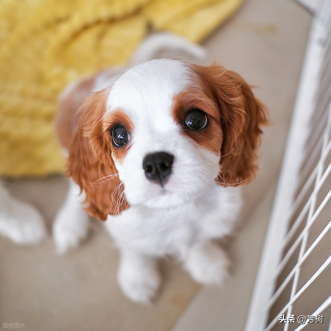 让对方看到心疼的句子30句，句句穿透人心