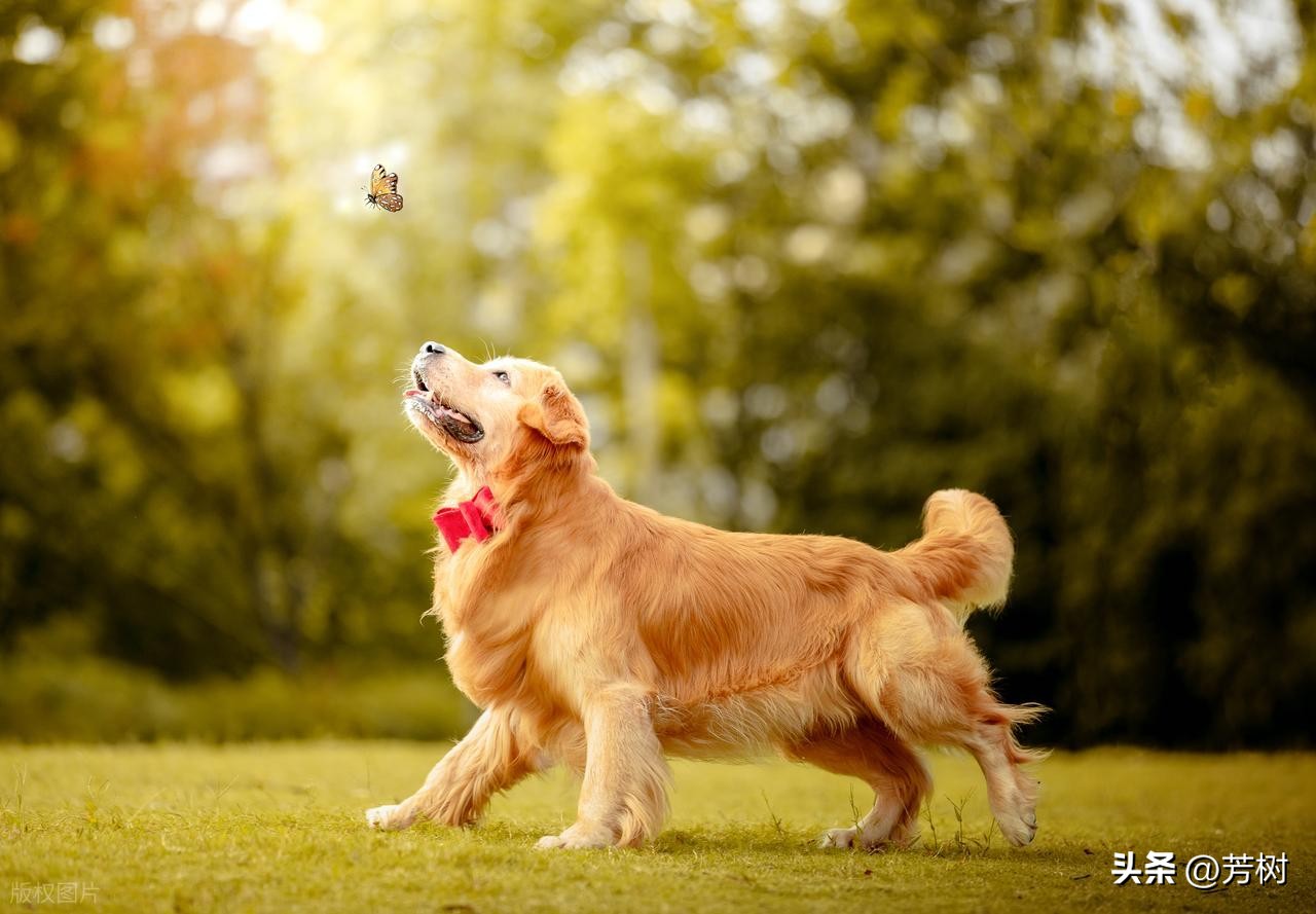 让对方看到心疼的句子30句，句句穿透人心