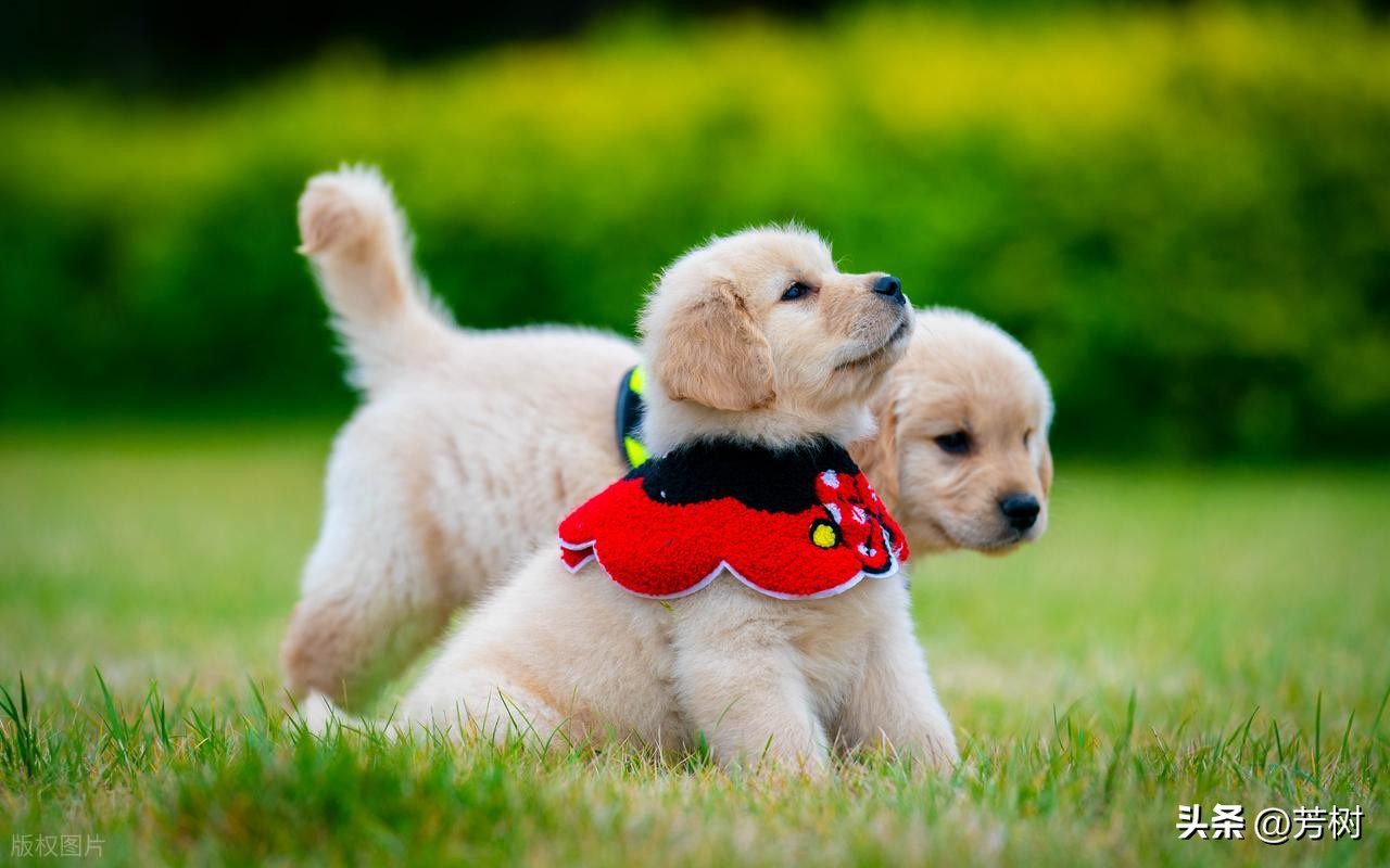 让对方看到心疼的句子30句，句句穿透人心