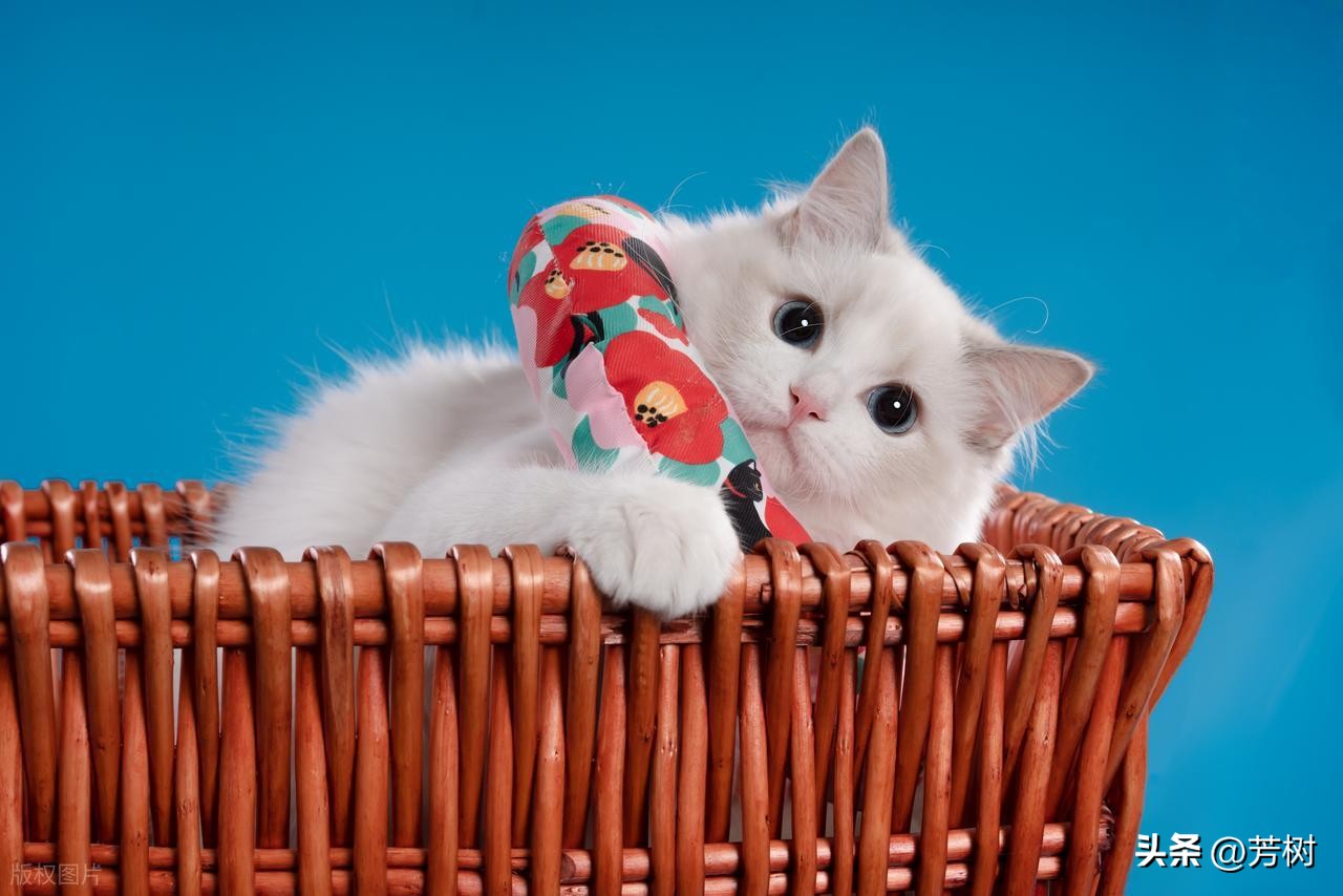 让对方看到心疼的句子30句，句句穿透人心