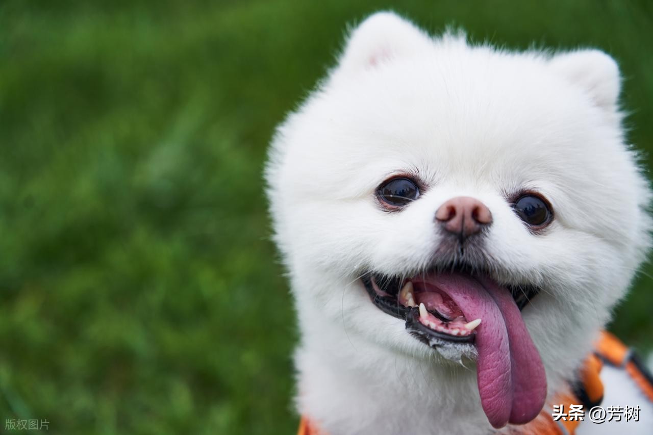 让对方看到心疼的句子30句，句句穿透人心