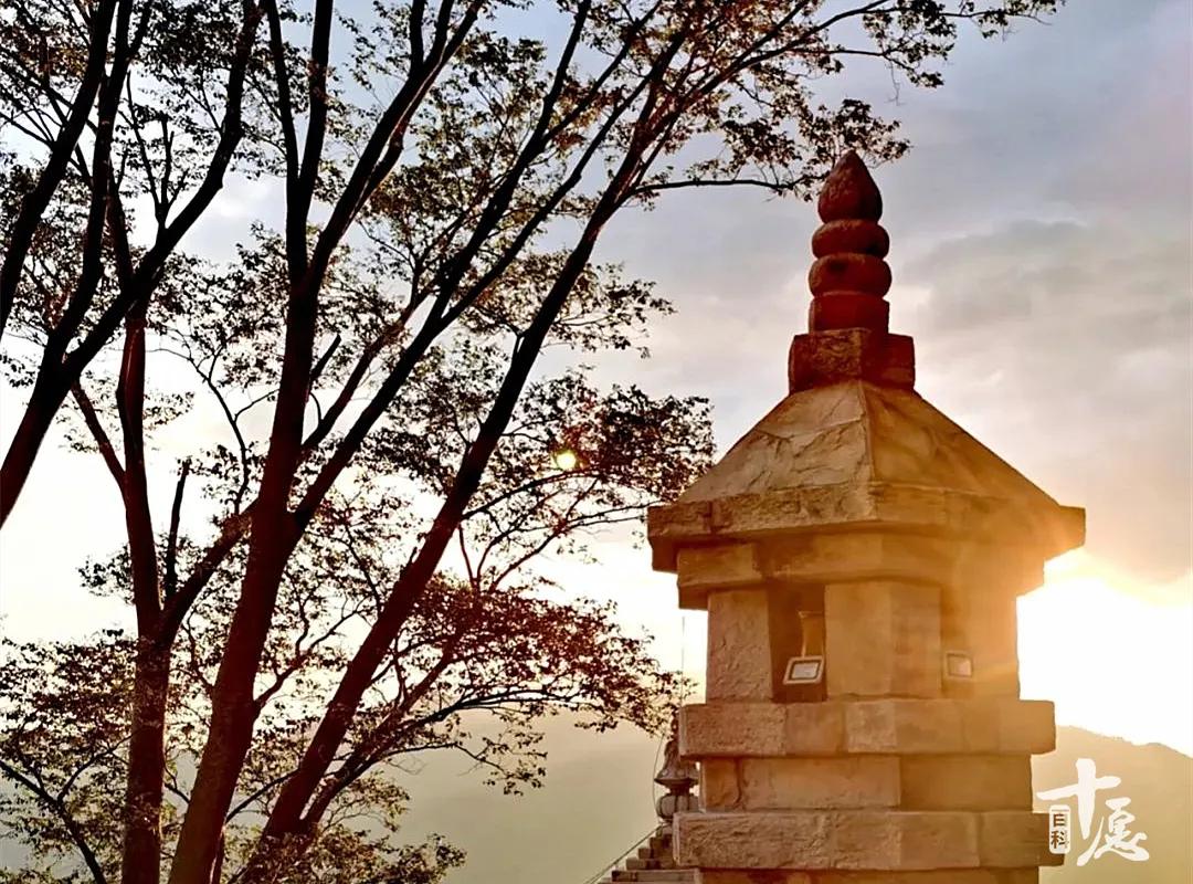 林清玄经典语录30句，读完神清气爽