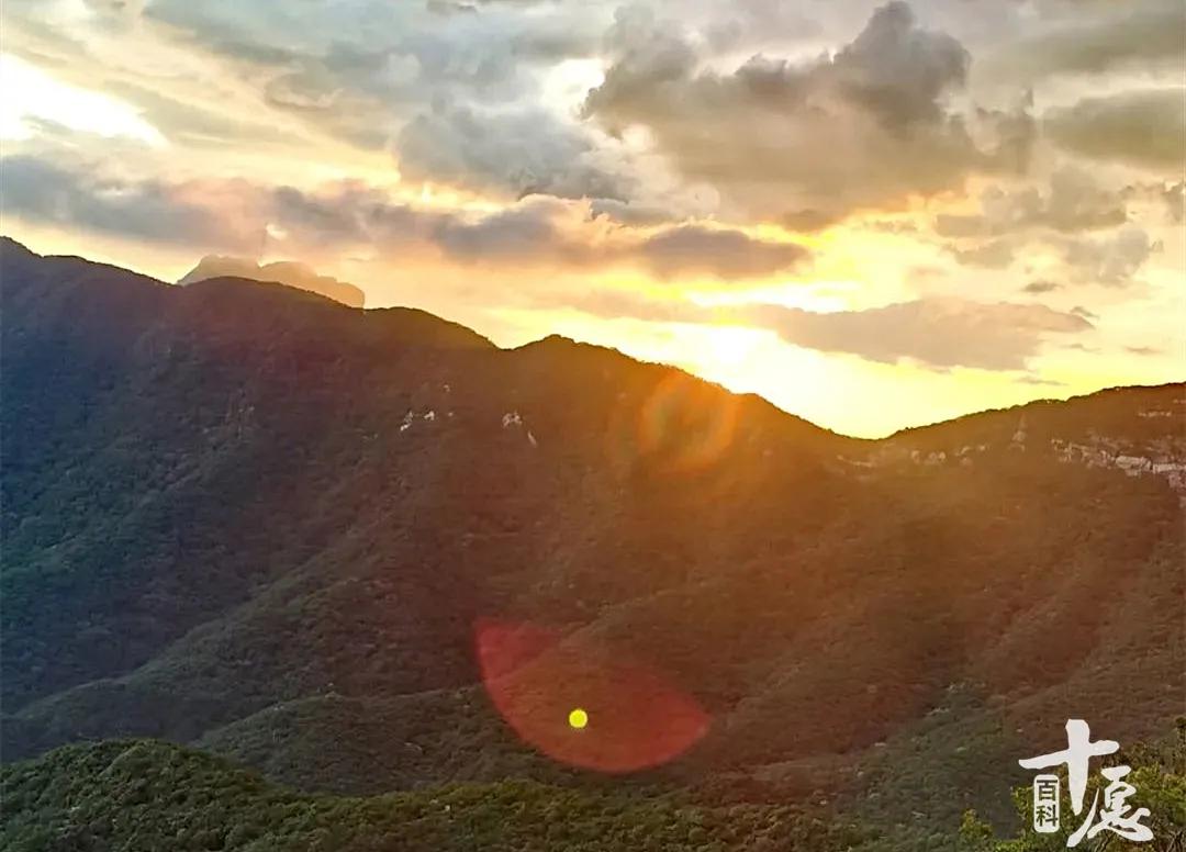 林清玄经典语录30句，读完神清气爽