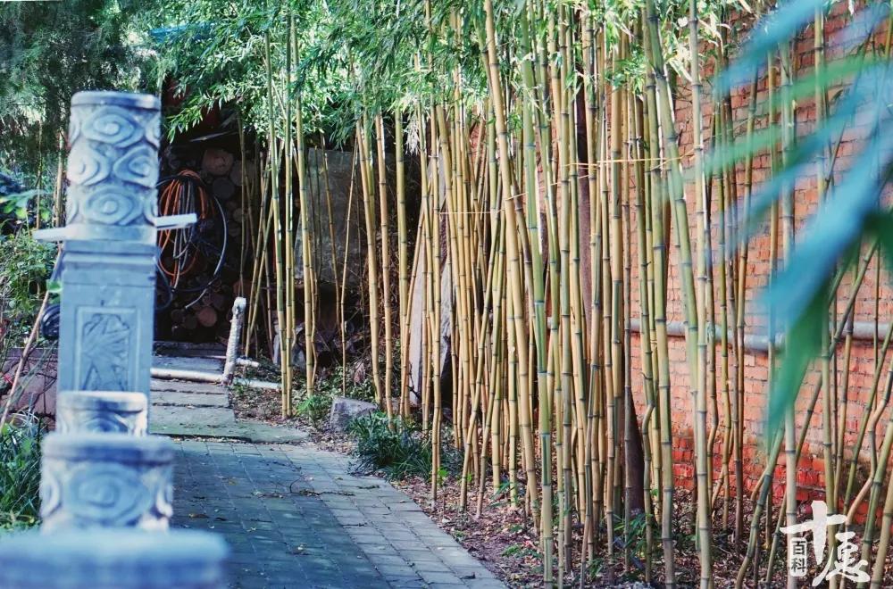 林清玄经典语录30句，读完神清气爽