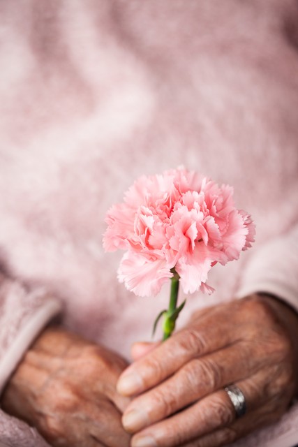 有关母亲的诗句11首，句句情真意切，温暖人心