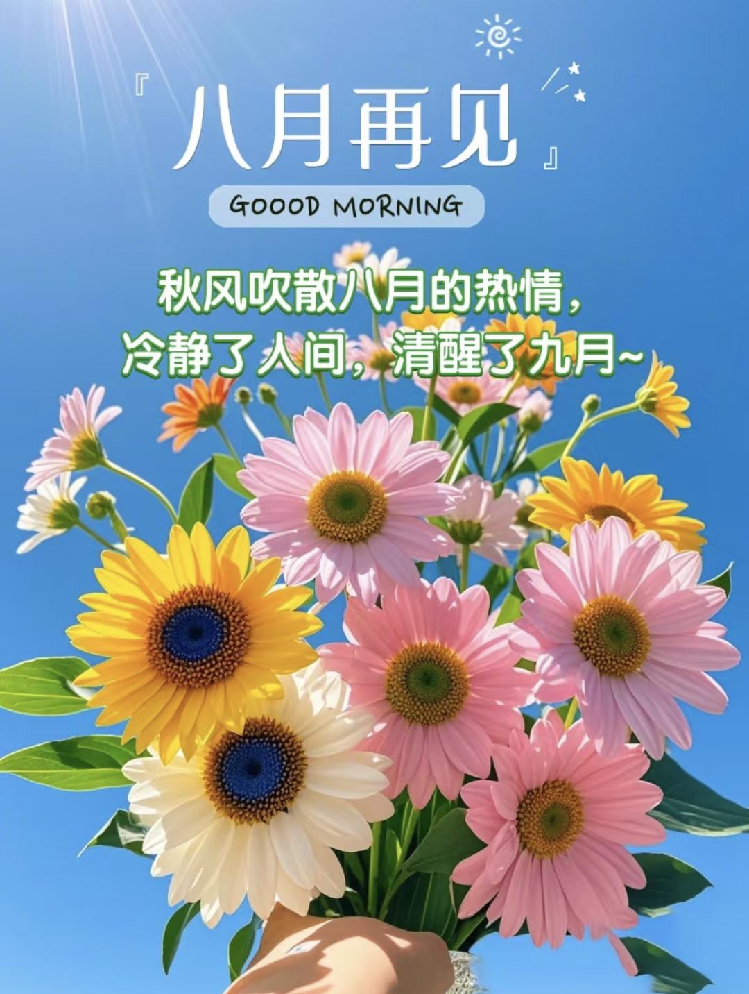 告别八月的唯美句子20句，愿岁月温柔，未来可期!