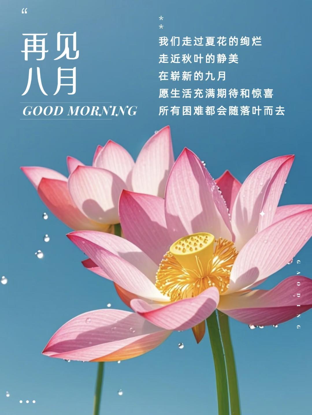 告别八月的唯美句子20句，愿岁月温柔，未来可期!