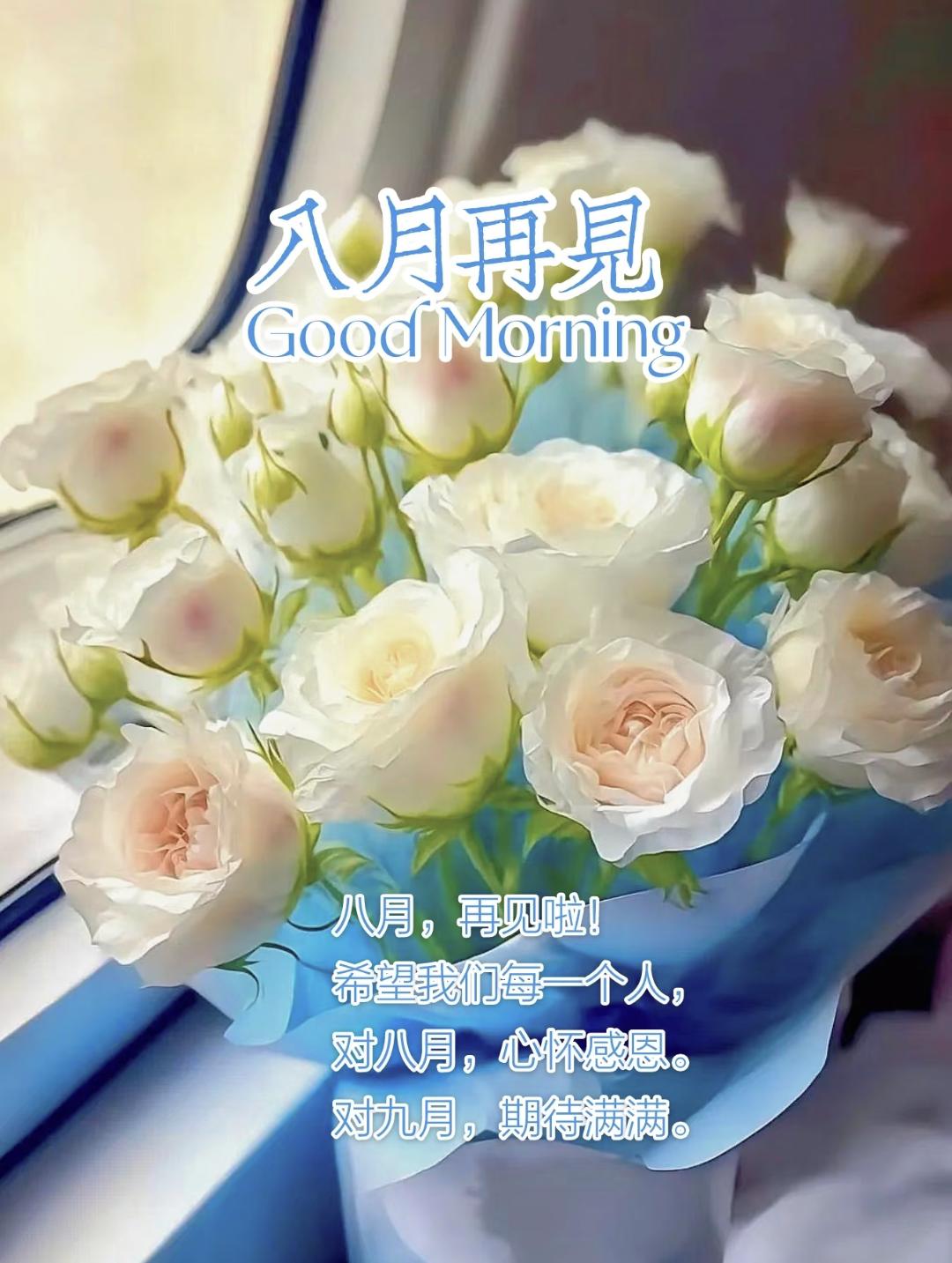 告别八月的唯美句子20句，愿岁月温柔，未来可期!