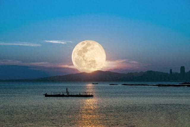 关于明月的诗句20句，句句唯美，令人心醉!