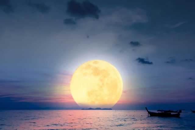 关于明月的诗句20句，句句唯美，令人心醉!