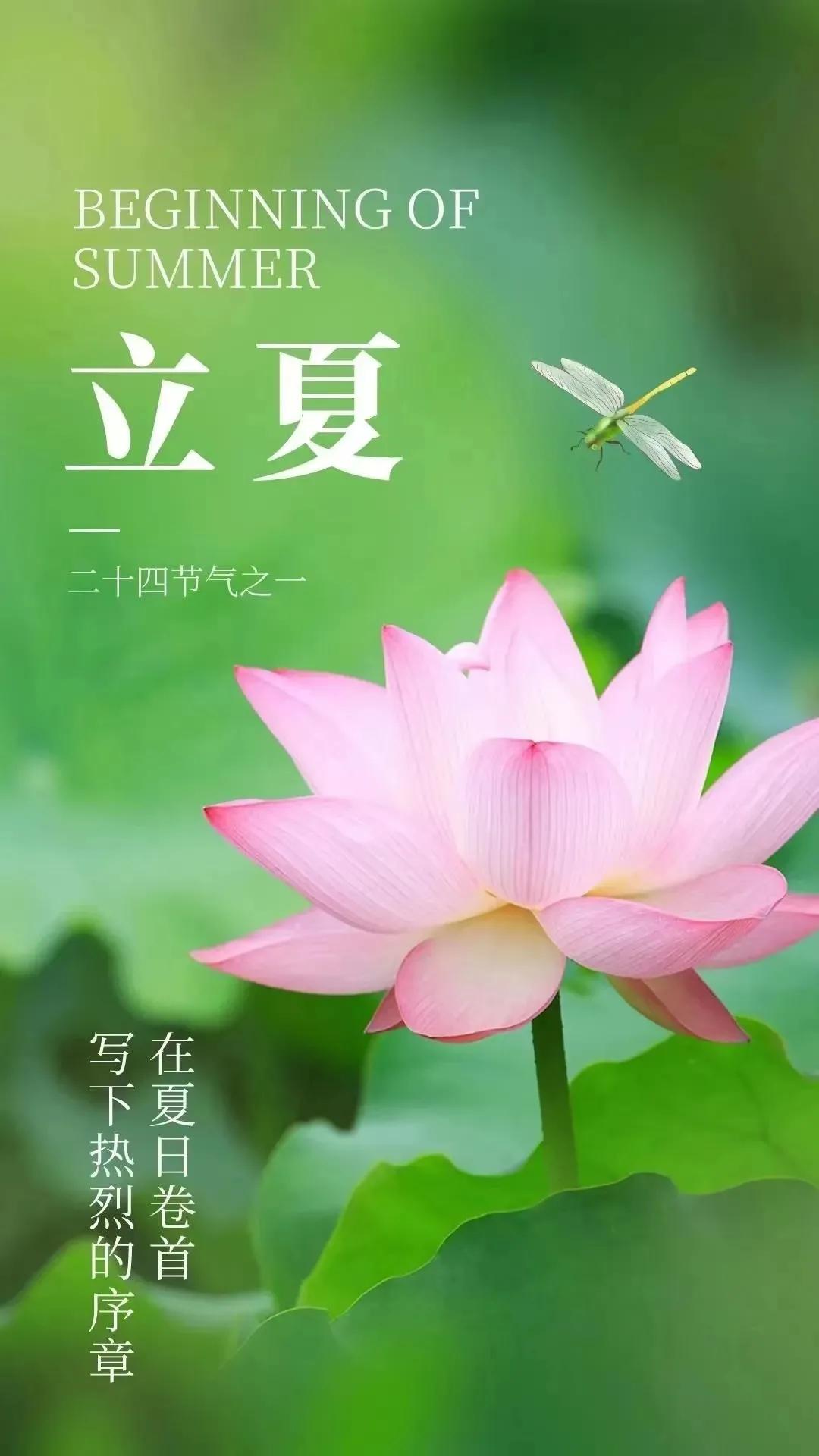 立夏的句子短句唯美20句，时至立夏，万物繁茂