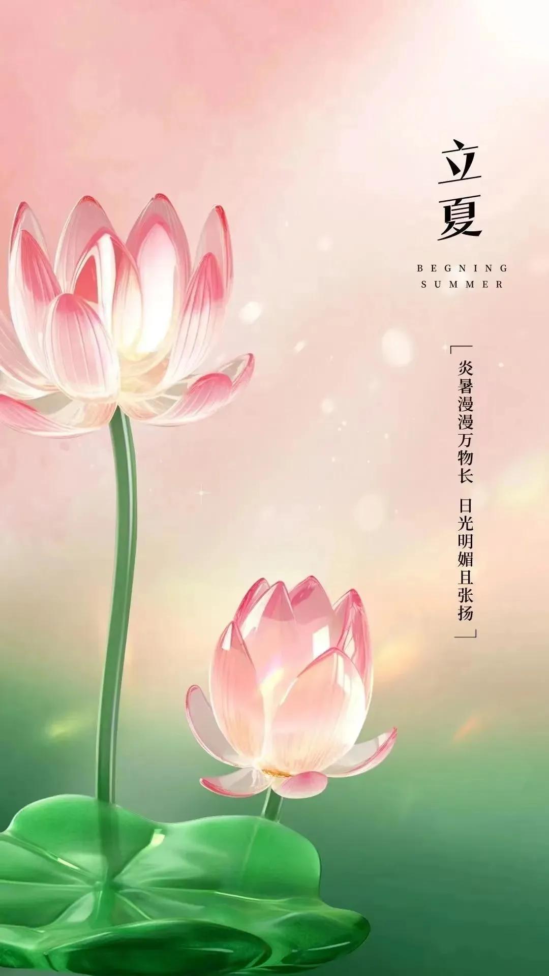 立夏的句子短句唯美20句，时至立夏，万物繁茂