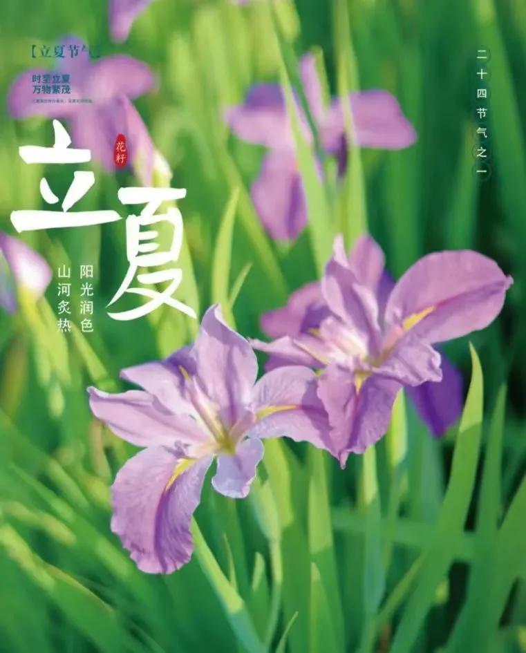 立夏的句子短句唯美20句，时至立夏，万物繁茂