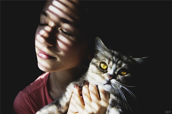 文艺句子12句，唯美走心，百读不厌!