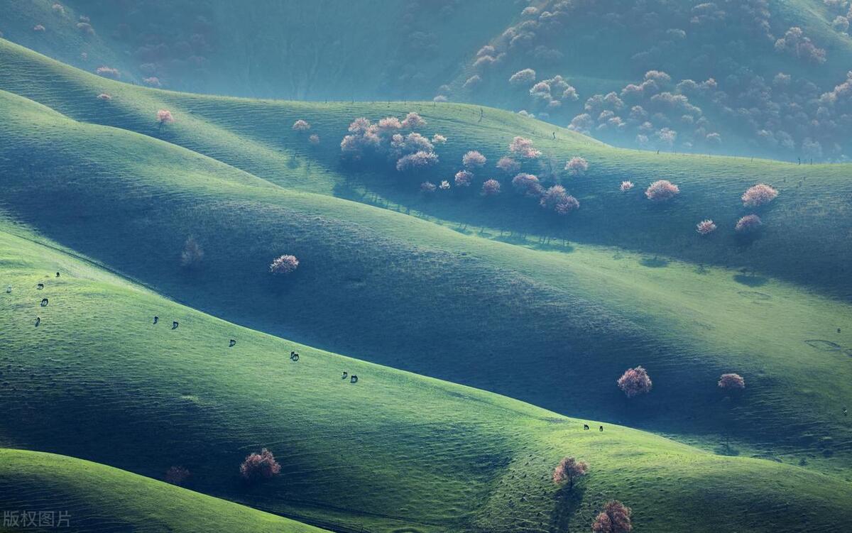 含有杏花的诗句10首，满满的诗情画意!