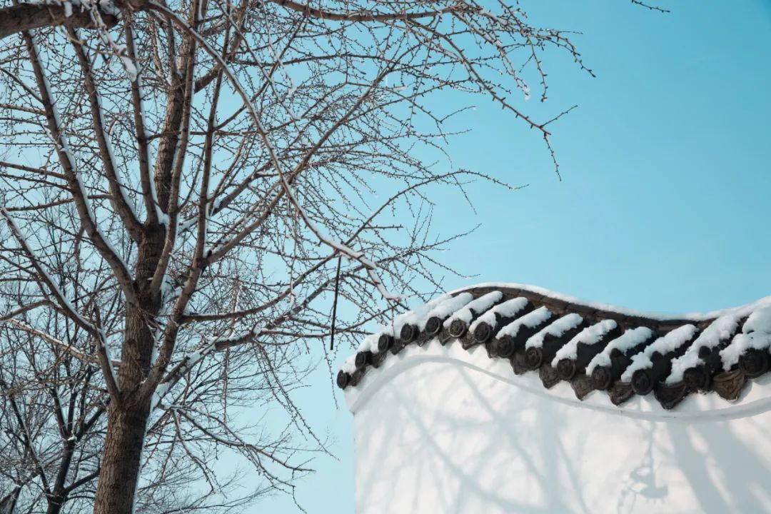 描写雪景的诗句12句，一起领略诗意雪景