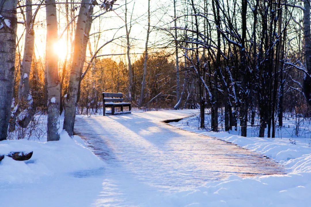 描写雪景的诗句12句，一起领略诗意雪景