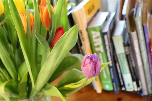 早上好优美句子10句，愿你每天都有好心情