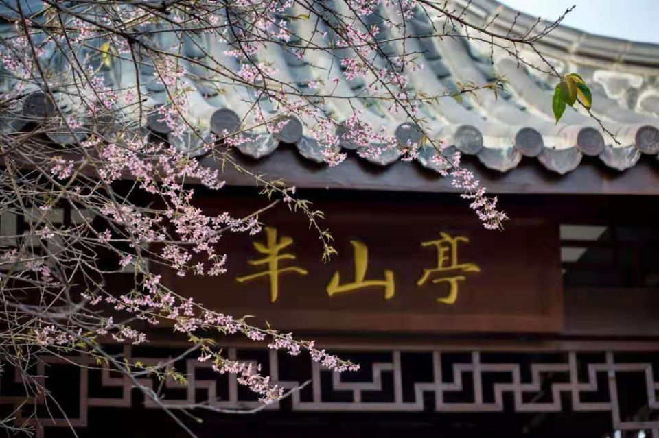 关于桃花的诗句8首，与你一起遇见最美的桃花