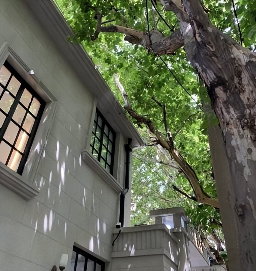 心痛的句子21句，看哭很多人