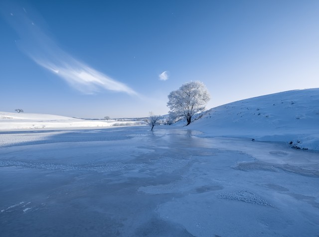 立冬祝福语24句，愿你三冬暖，不惧岁月寒