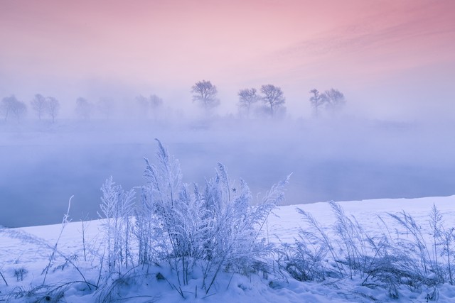 立冬祝福语24句，愿你三冬暖，不惧岁月寒