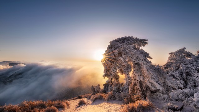立冬祝福语24句，愿你三冬暖，不惧岁月寒