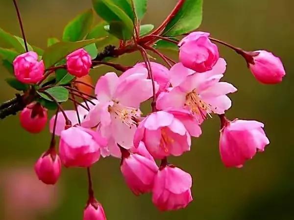 四月的文艺句子12句，温柔治愈高级文案