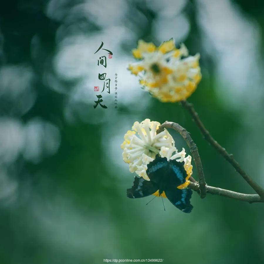 四月的文艺句子12句，温柔治愈高级文案