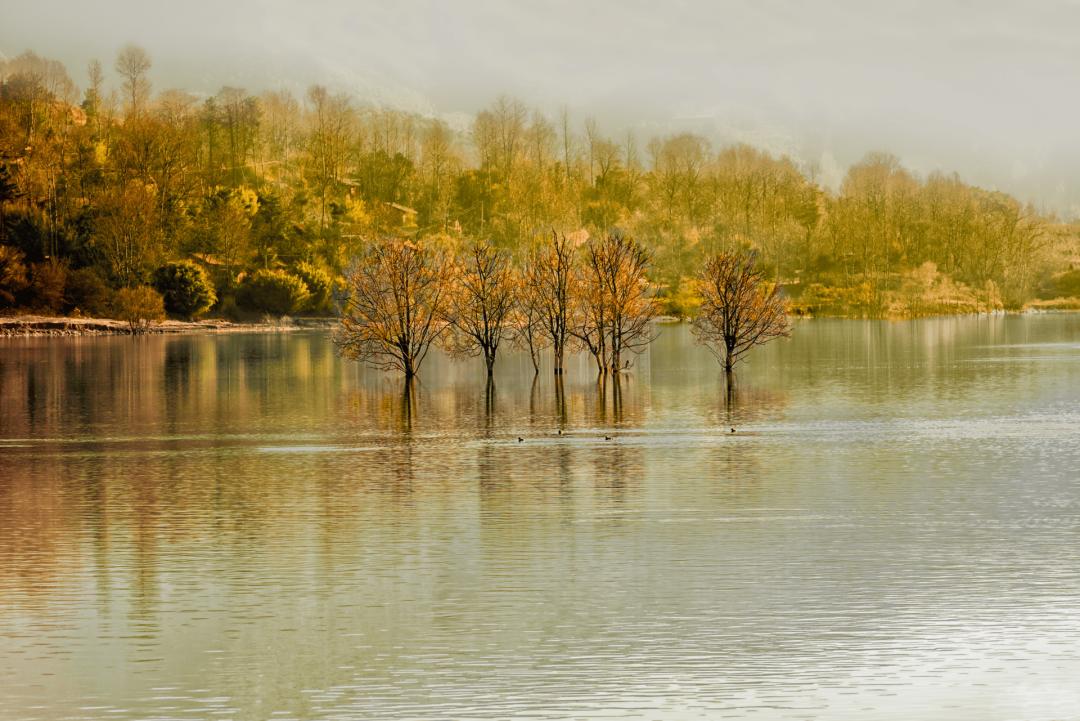 王勃的诗10首，值得细细品读!