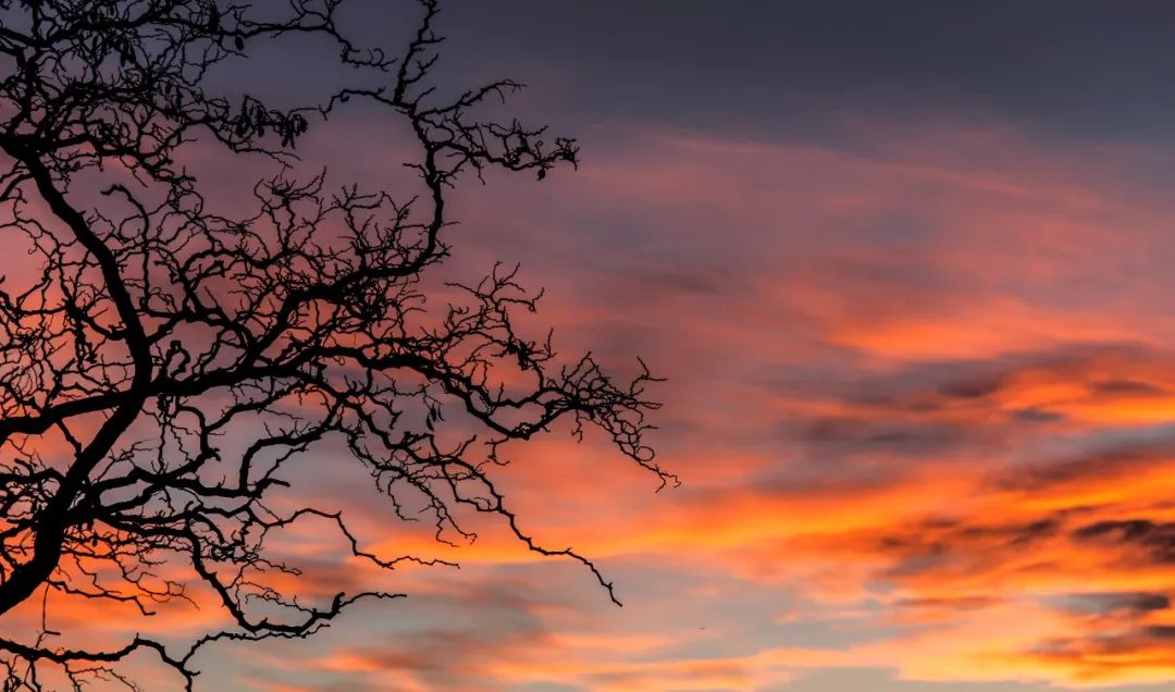 王勃的诗10首，值得细细品读!